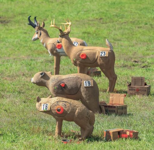 Appalachian Bowhunter Challenge Head-to-Head targets